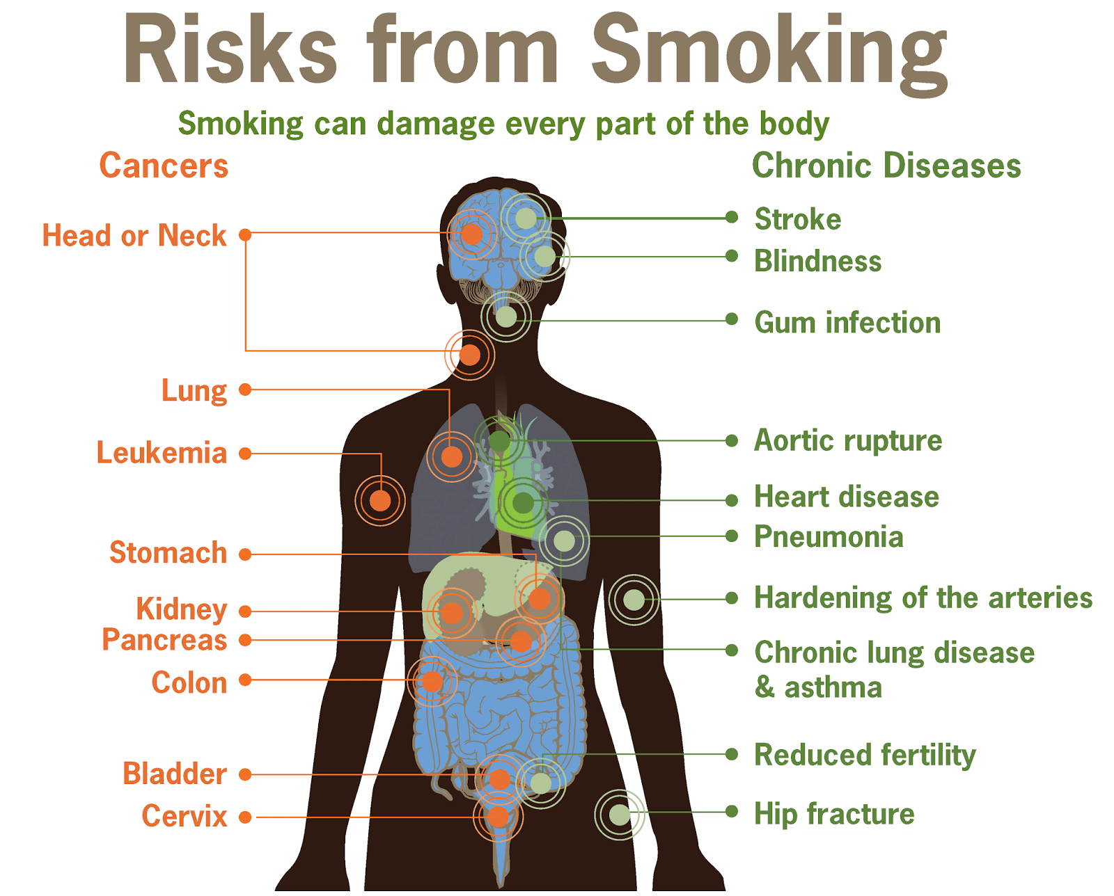 Effects Of Smoking