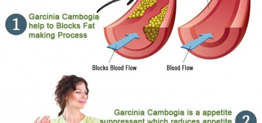 How does garcinia cambogia work progressiver