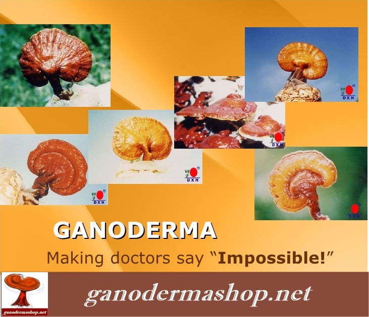 GANODERMA among the home remedies for diabetes is making doctors say "impossible"