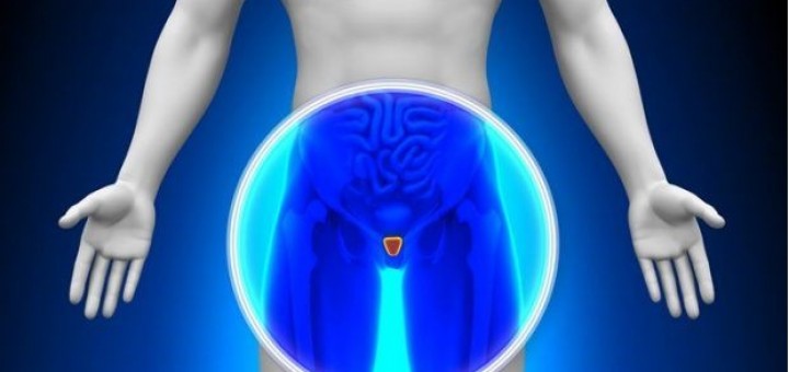 masturbation can help to avoid prostate cancer